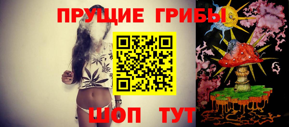 Галлюциногенные грибы мицелий  Галлюциногенные грибы Cubensis  Вход с VPN  купить  сайты  Кинель 